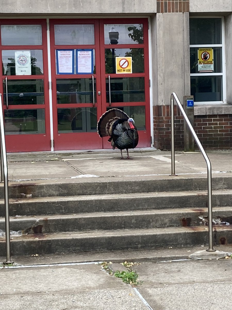 Dr. Sarah Berger tweet media