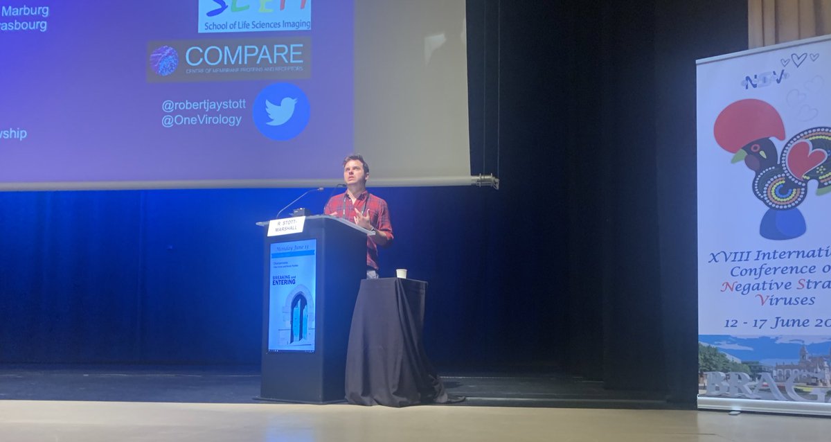 Toshana Foster (@toshanafoster) on Twitter photo Proud of <a href="/RobertJayStott/">Robert Stott-Marshall, PhD</a>! Great talk at #NSV2022 on restriction of arenaviruses and membrane dynamics yesterday! Proud of <a href="/RobertJayStott/">Robert Stott-Marshall, PhD</a>! Great talk at #NSV2022 on restriction of arenaviruses and membrane dynamics yesterday!