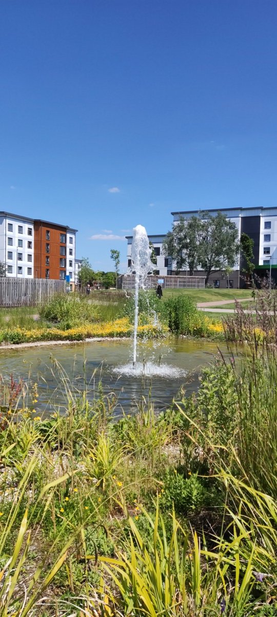 JCecil87's tweet photo. Beautiful day on @UniofHerts campus today 🌞 https://t.co/rhBWcFtjdN