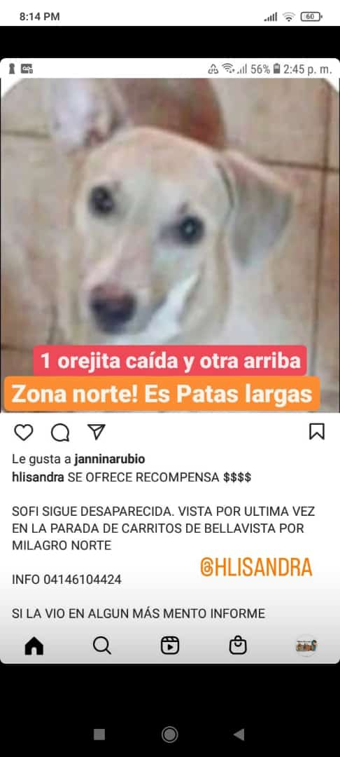 Alehg69's tweet photo. MARACAIBO SOS https://t.co/k9docJHDGC