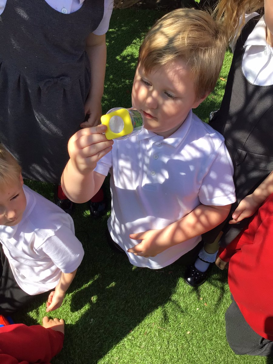 MissMor85589275's tweet photo. Enjoying the outdoors in the sun looking for habitats 🌿
@YsgolEmmanuel 
@MrsLEdwards2 https://t.co/VP11JqnwJf
