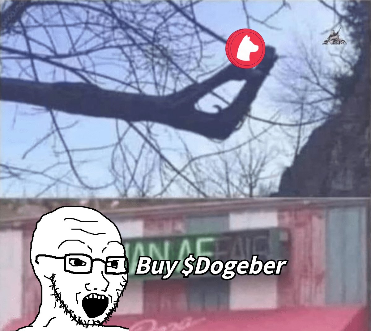 Dogeber.com #SocialFi #MultiChain tweet media