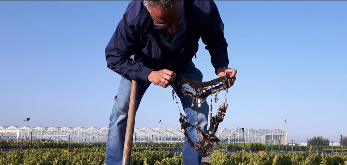 NorthSeaRegion's tweet photo. One of our @NorthSeaRegion projects, #SOILCOM, is helping farmers to soil their undies. No, really. It turns out burying underwear can be one litmus test on whether farmland soil is healthy, or not. Donโt believe us? Then ๐๐ณ
https://t.co/ltlKTjetDr https://t.co/LWl88UCyMl