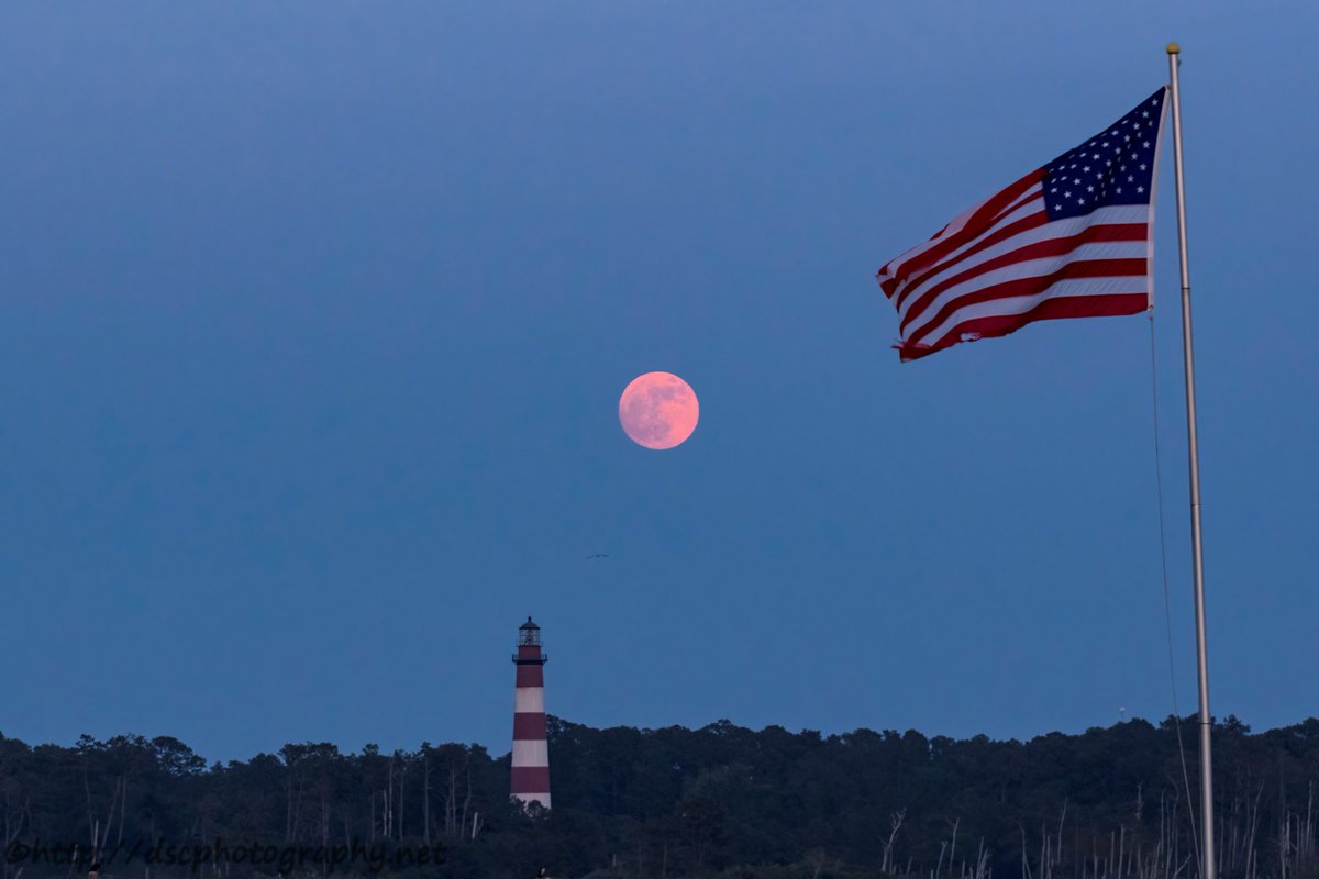 cornerscleanco's tweet photo. It's Flag Day! Let's see your Red, White, and Blue in the comments!! #flagday #redwhiteandblue #starsandstrips #strawberrymoon #chincoteagueisland #assateaguelighthouse https://t.co/B2KJMEq3eR