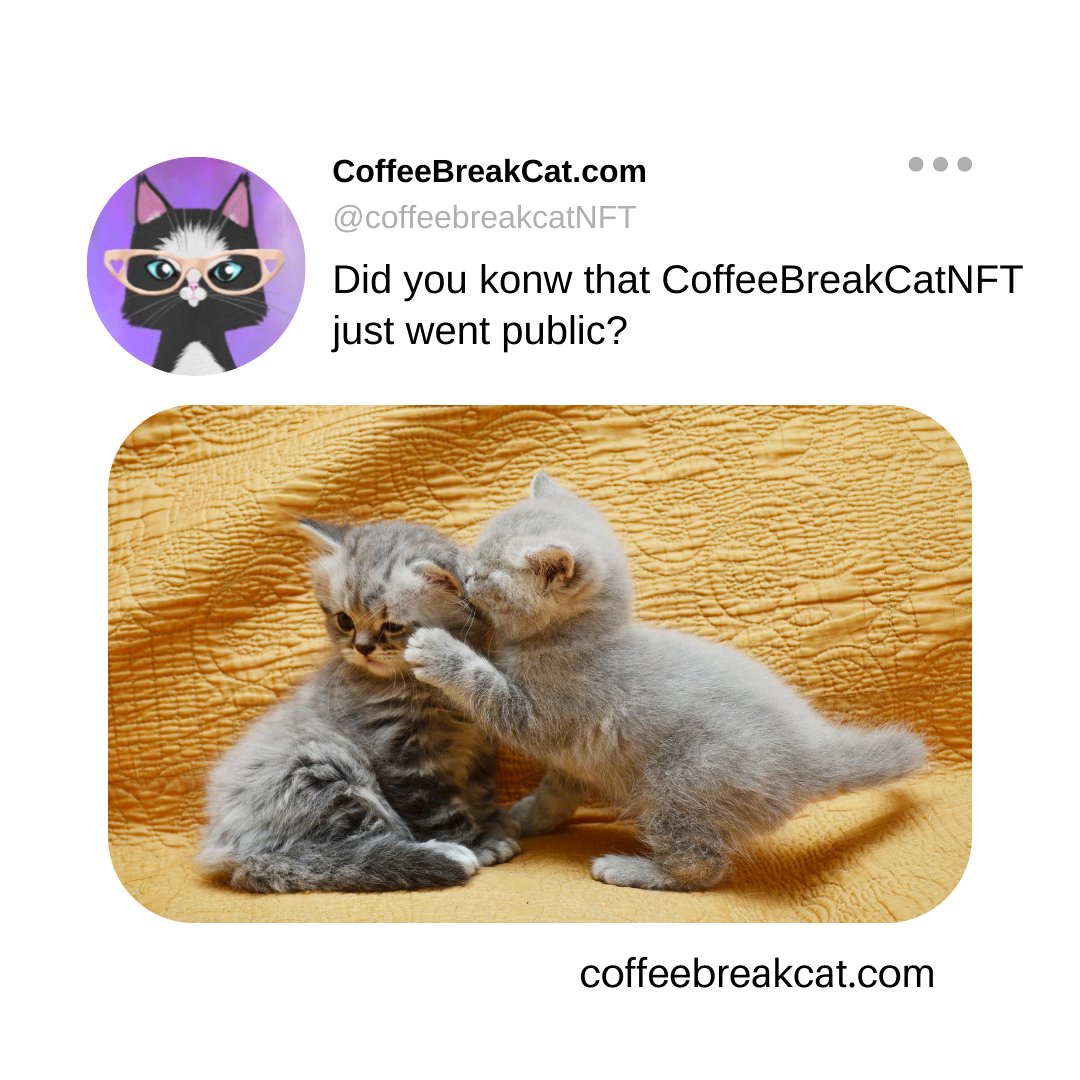 Public mint available from coffeebreakcat.com

#NFTs #NFTCommunity #NFTgiveaway #SolanaNFT #coffeebreakcatnft