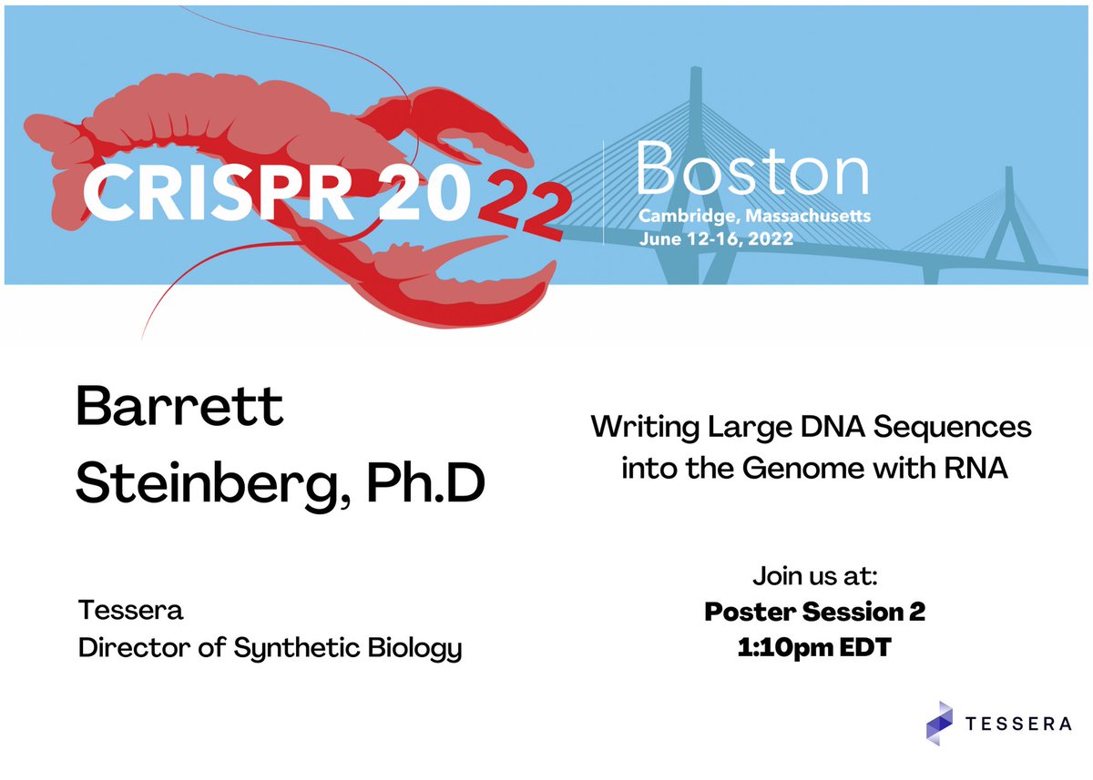 TesseraTx's tweet image. Tessera&apos;s Barrett Steinberg, Director of Synthetic Biology, will present a poster: Writing Large DNA Sequences into the Genome with RNA, at #CRISPR2022. Stop by Poster Session 2 beginning at 1:10pm EDT to learn more.