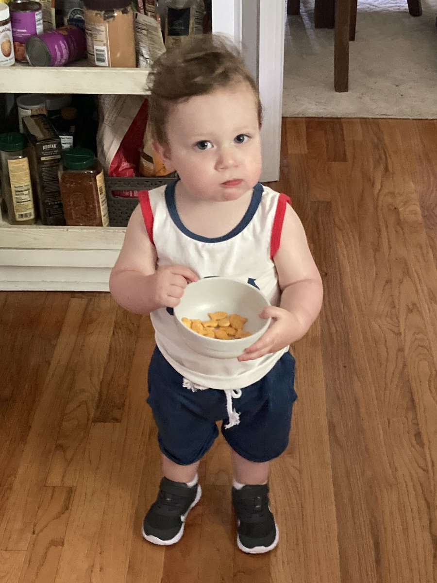 No pod today but as a consolation here is a picture of Fitz having a snack