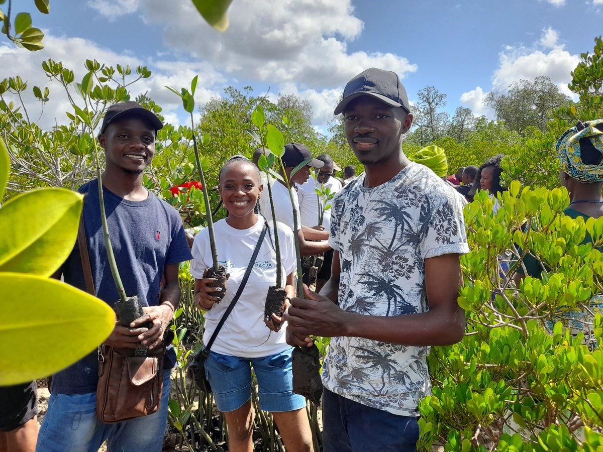 GMI_Foundation's tweet photo. We joined the kilifi Department of Water &amp; Environment,@NemaKenya, Energy for life &amp;

other partner in a Mangrove Restoration at Mtongani Kidundu area of the end of Kilifi Creek.

#ImpactingGenerations #Environment #ClimateChange https://t.co/49G7T2nFAz