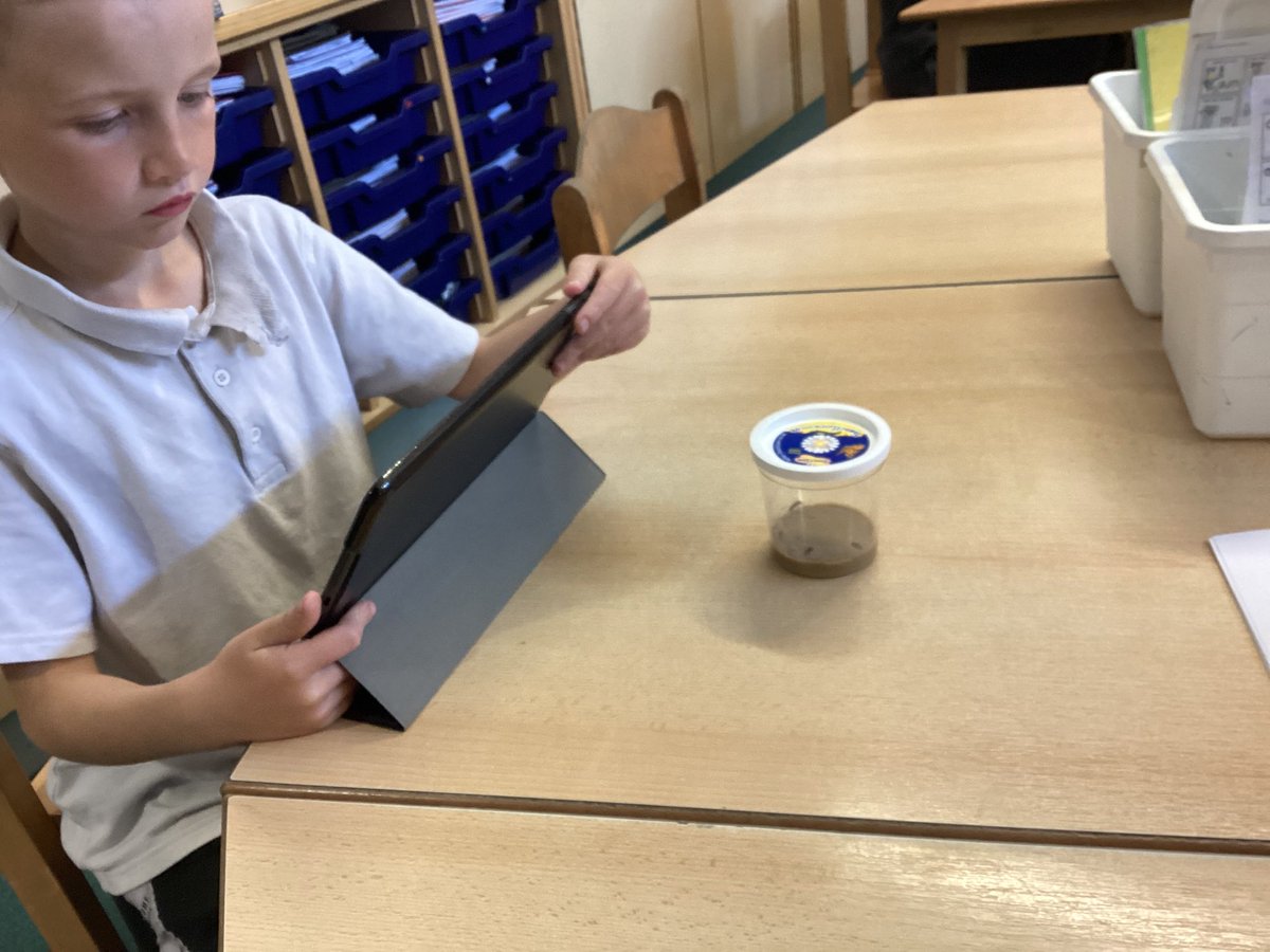 CanklowWoods's tweet photo. We have live caterpillars in class two now. We are excited to see them change and grow.
#sciencerocks #observationovertime #lifecycles https://t.co/fjLNGw93pc