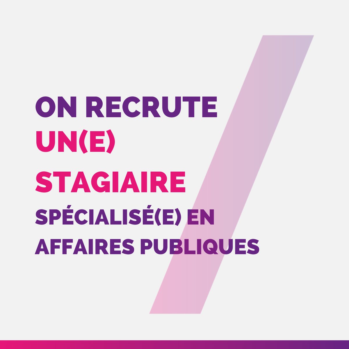 eurosagency's tweet photo. #RECRUTEMENT
Notre pôle #AffairesPubliques est à la recherche de ses futurs jeunes talents, à partir de juillet !
Pour postuler, c'est par ici :
https://t.co/c1YK3Xr8Z7
#recherchestage #stage #stageaffairespubliques https://t.co/60IQqbAKvG