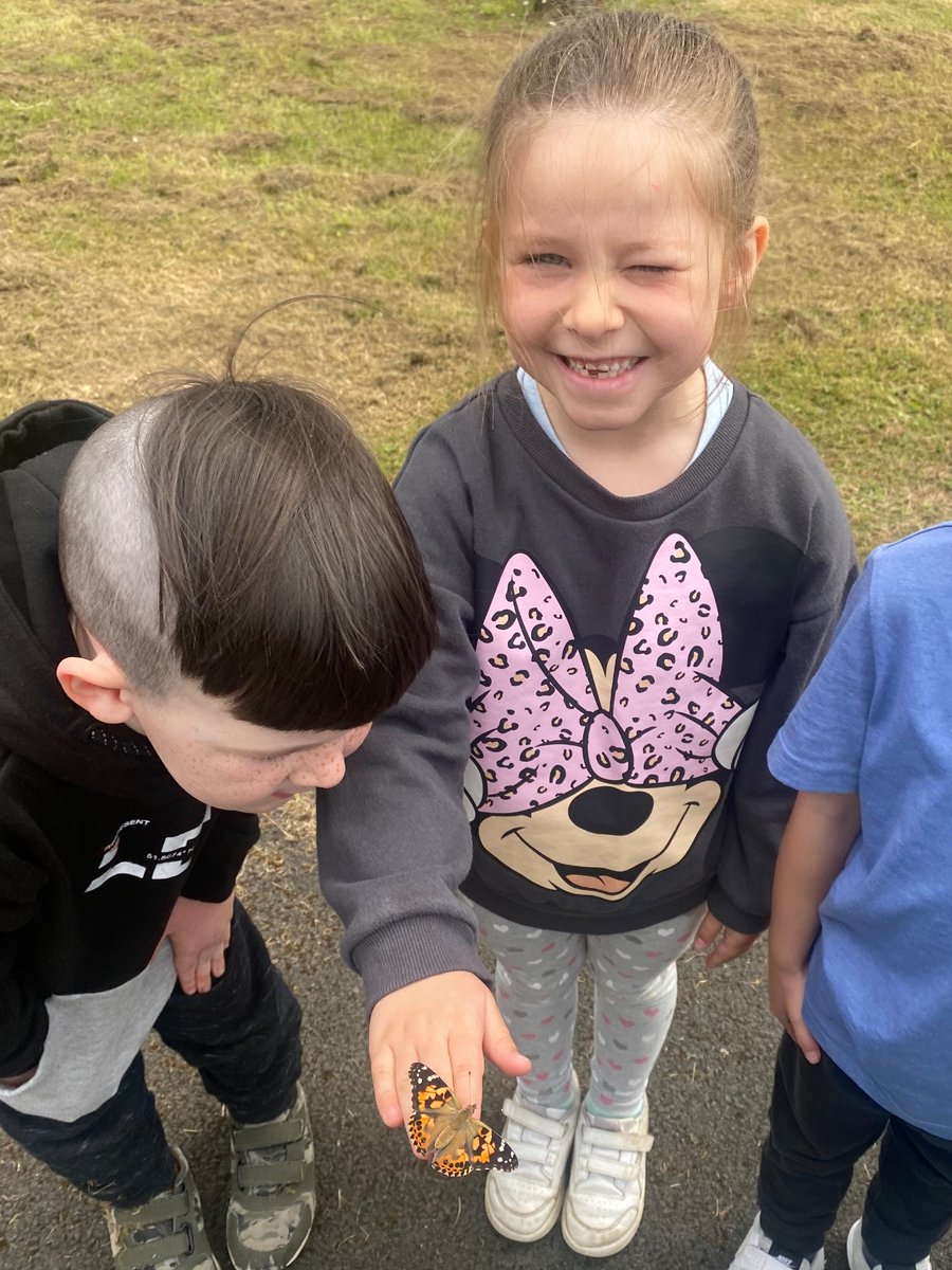 MissMuirKPS's tweet photo. After nurturing and caring for our caterpillars until they turned into butterflies we finally were able to set our butterflies free. We were all very excited and some of us even got to hold the butterflies 🦋 @KnightsridgePr1 https://t.co/DrGtv1Dv8i