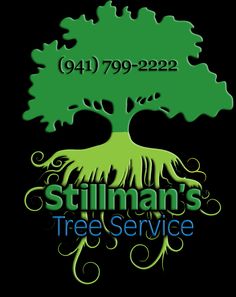 StillmansTree's tweet image. Quality #TreeService for both residential and commercial clients. Visit wfy.ai/3mKWjyT  #StillmensTreeService #TreeTrimmer #TreeRemoval #TreeCutting