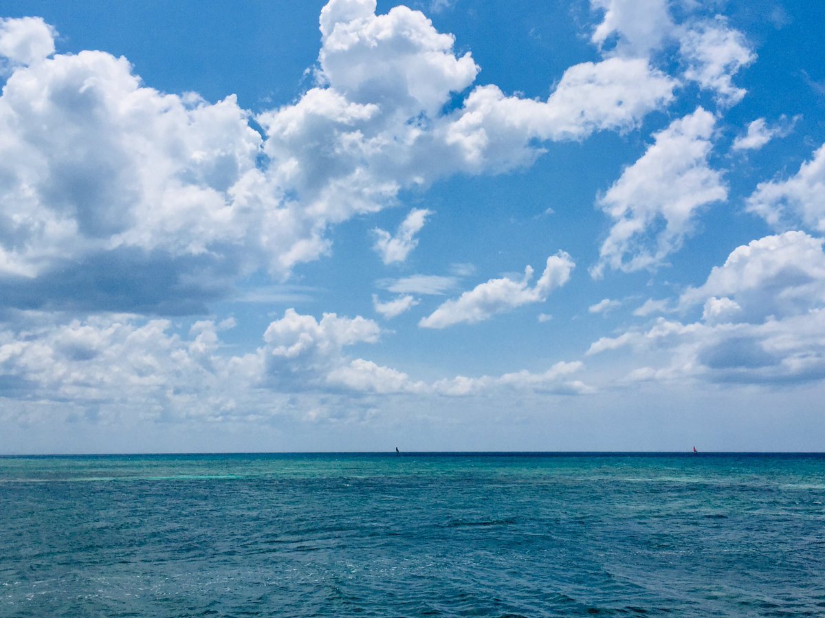HBrGuardalavaca's tweet photo. Sea vitamin! It’s all you need...

#BrisasGuardalavaca #CubanacanHoteles #CubaTravel #HolguinTravel #yourhappyplace #TogetherOneMoreTime #allinclusive #vacation #beach #familyvacation #seavitamin #Cuba #unica https://t.co/5SyTLLJ8Un