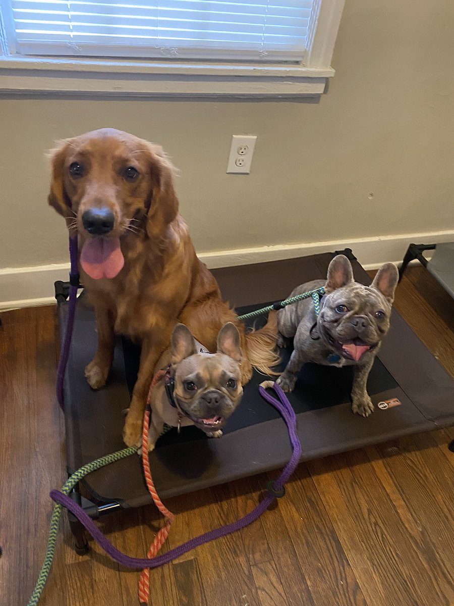 tfischbachhh's tweet photo. just 6 more days until I get to bring my baby home!!!! https://t.co/jegnugXvFJ