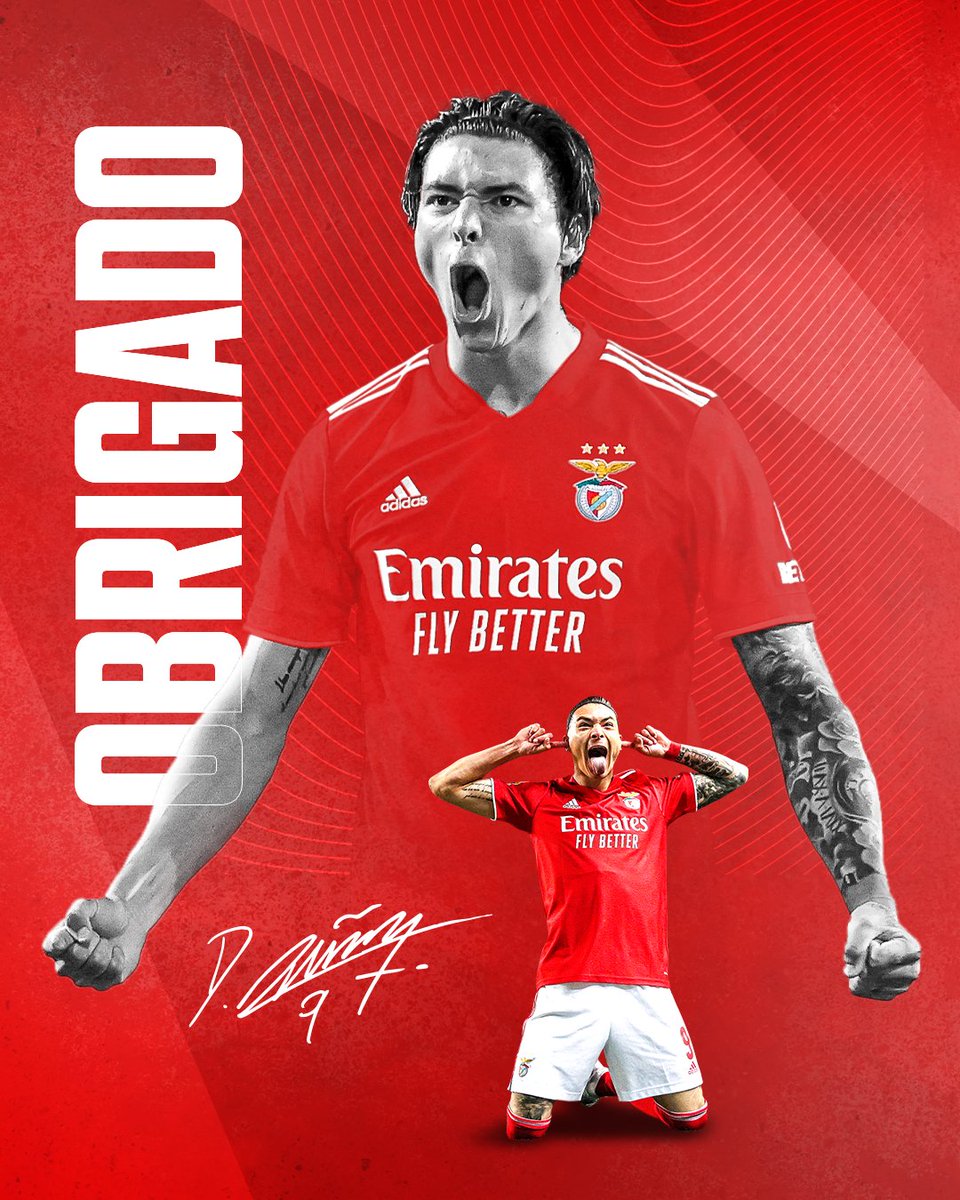 Obrigado, Darwin ❤️

#EPluribusUnum