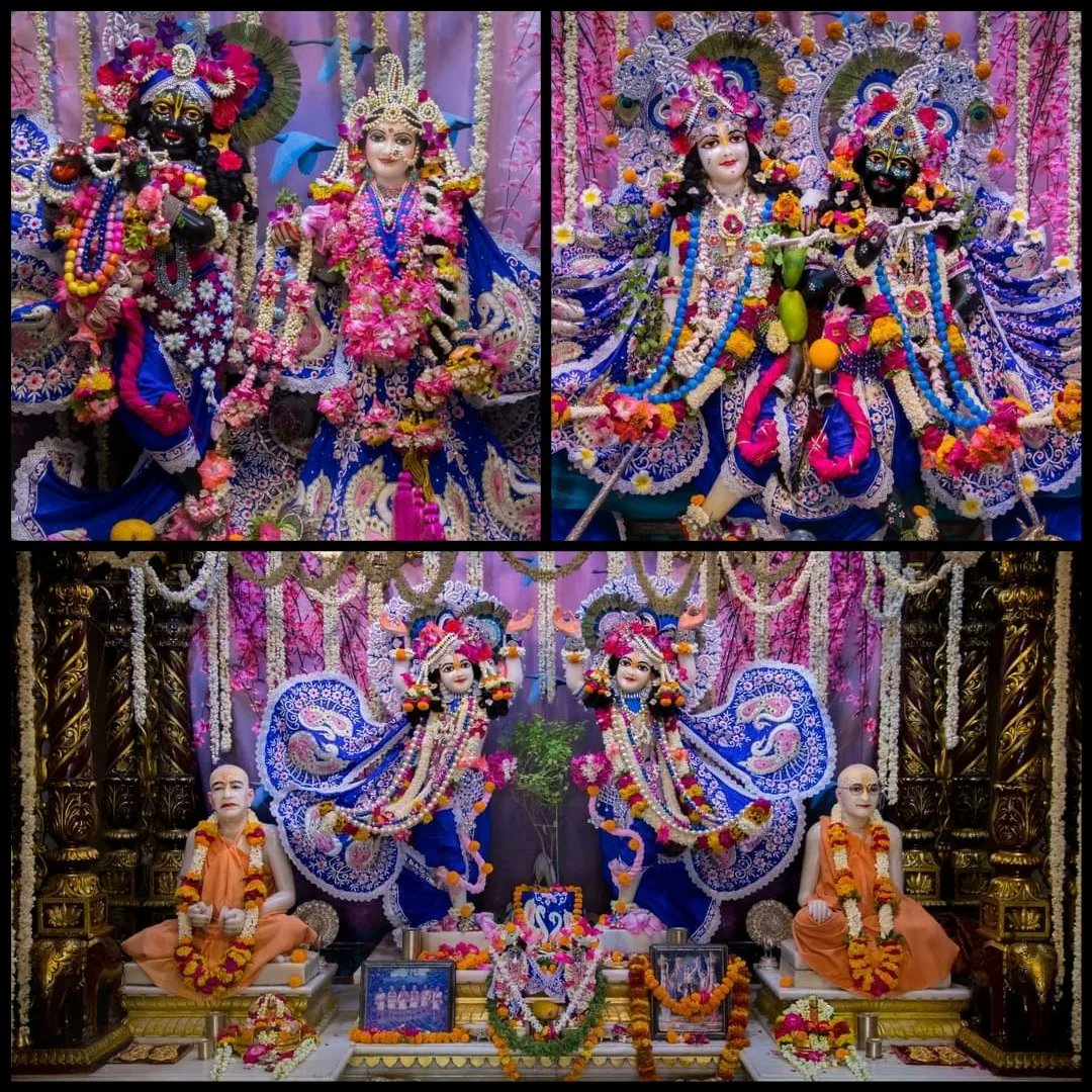 vrajaviharinis's tweet photo. 🤩😍DAILY DARSHAN😍🤩
(Iskcon Vrindavan)
(Iskcon Mayapur)
(Iskcon Pune)
(Iskcon Kolkata)
#lordkrishna #srimatiradharani #panchatatwa #jaijaganathdev #jaisubhadramaharani #jaibalaramdev #dailydarshan #auspicious #beauty #jaigaurnitai #jaigirirajbhagvan #jaisrinrishangadev #Iskcon https://t.co/RUIVzwbV5R