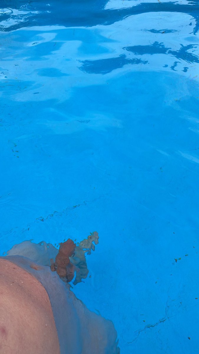 Anto31_'s tweet photo. Un minet pour m’accompagner dans la piscine ? 
Dm si intéressé 
@maqueuecom 
 #gaytoulouse #twink #daddy #minet #gayteen #maqueue #dadandson #dadandsongay #gay18 #gay19 #gay20 https://t.co/qAUOwhABL2