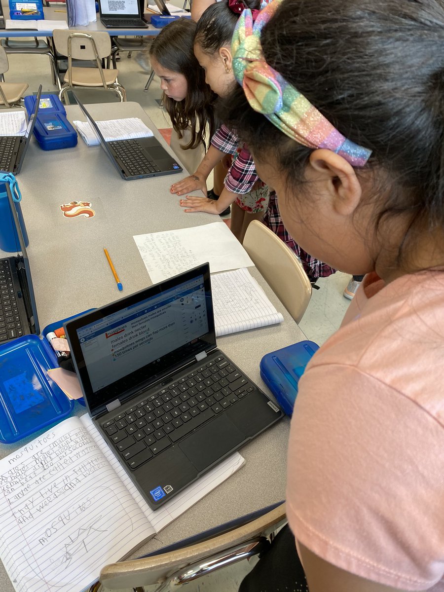 Adrienne Ross tweet media