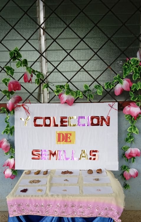 Campaña de recolección de semillas, centro escolar Simón Bolívar.
<a href="/nerp_de/">NERP:NUESTRA SEÑORA DE GUADALUPE</a> 
<a href="/Mined_Camoapa/">BYRON JAVIER MENDEZ BELLO</a> 
#4319FuerzaDeVictorias