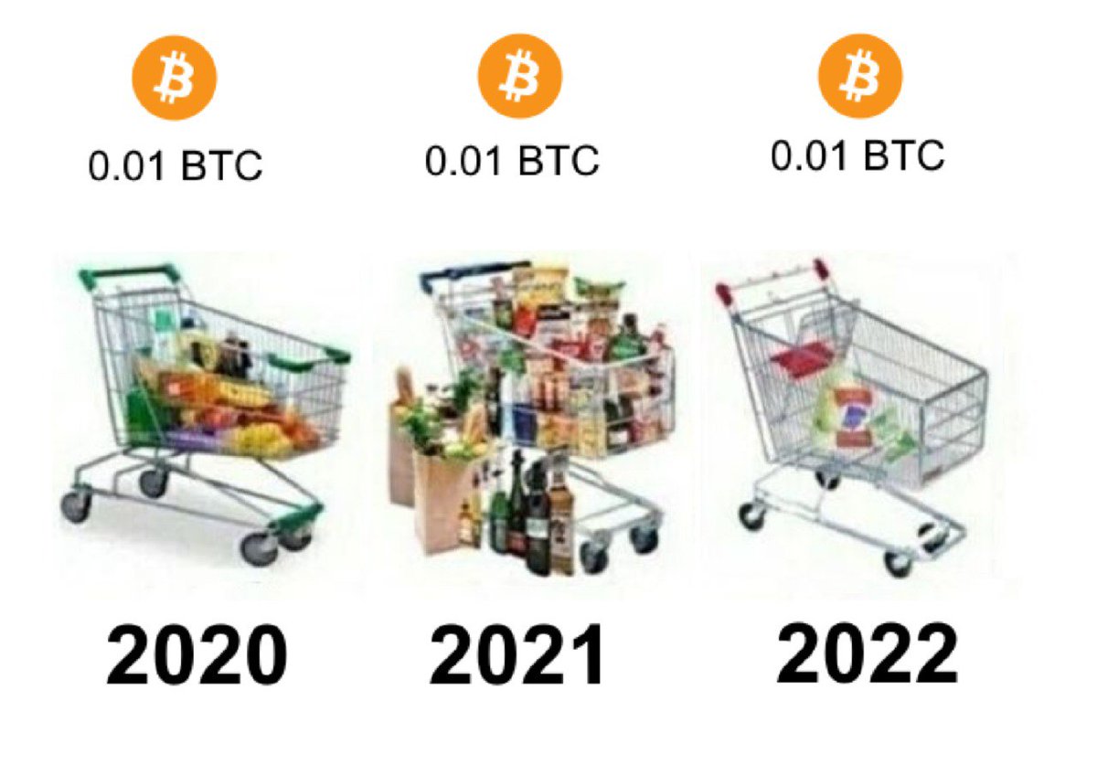 The Crypto Dog 📈 (@thecryptodog) on Twitter photo 