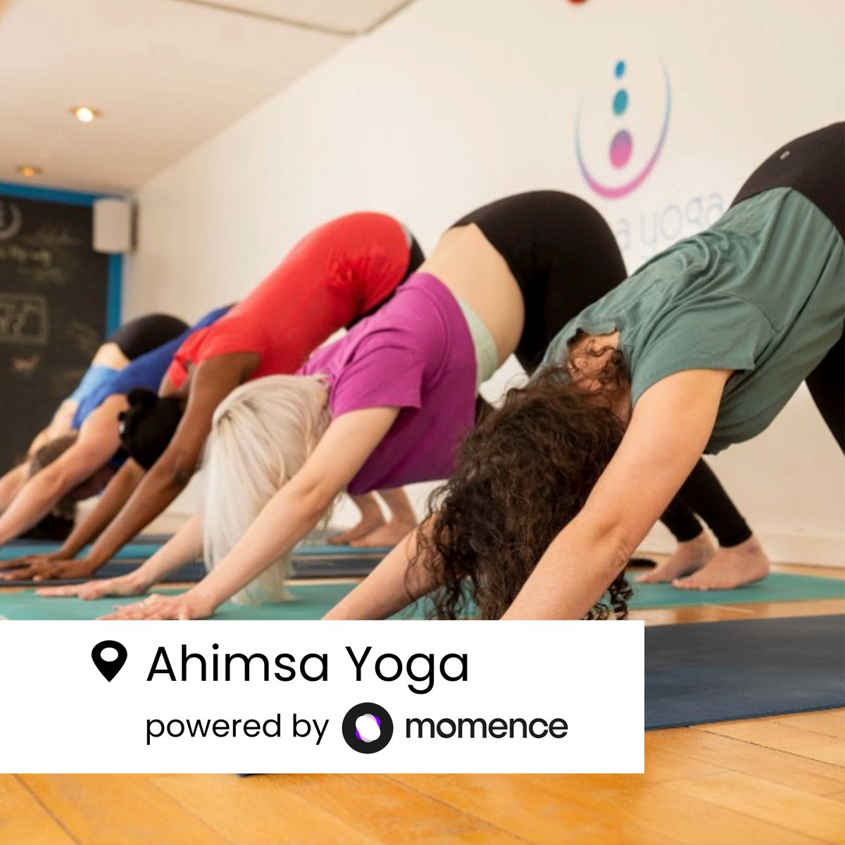 themomence's tweet photo. We recently had @ahimsayogacanada join Momence. Here's some fun photos from their profile. Fourth one has a π.
#yogastudiosoftware #yogastudioowner #yogastudio #yogacanada #yogadog https://t.co/bJMzyGRB4Z