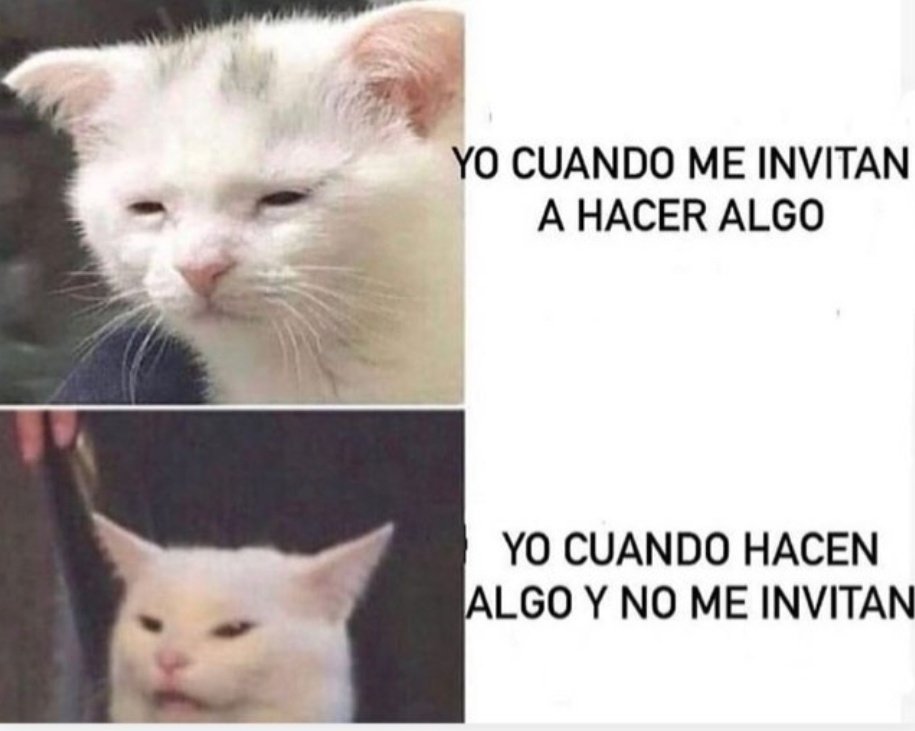 Rolita (@_onerolita) on Twitter photo 