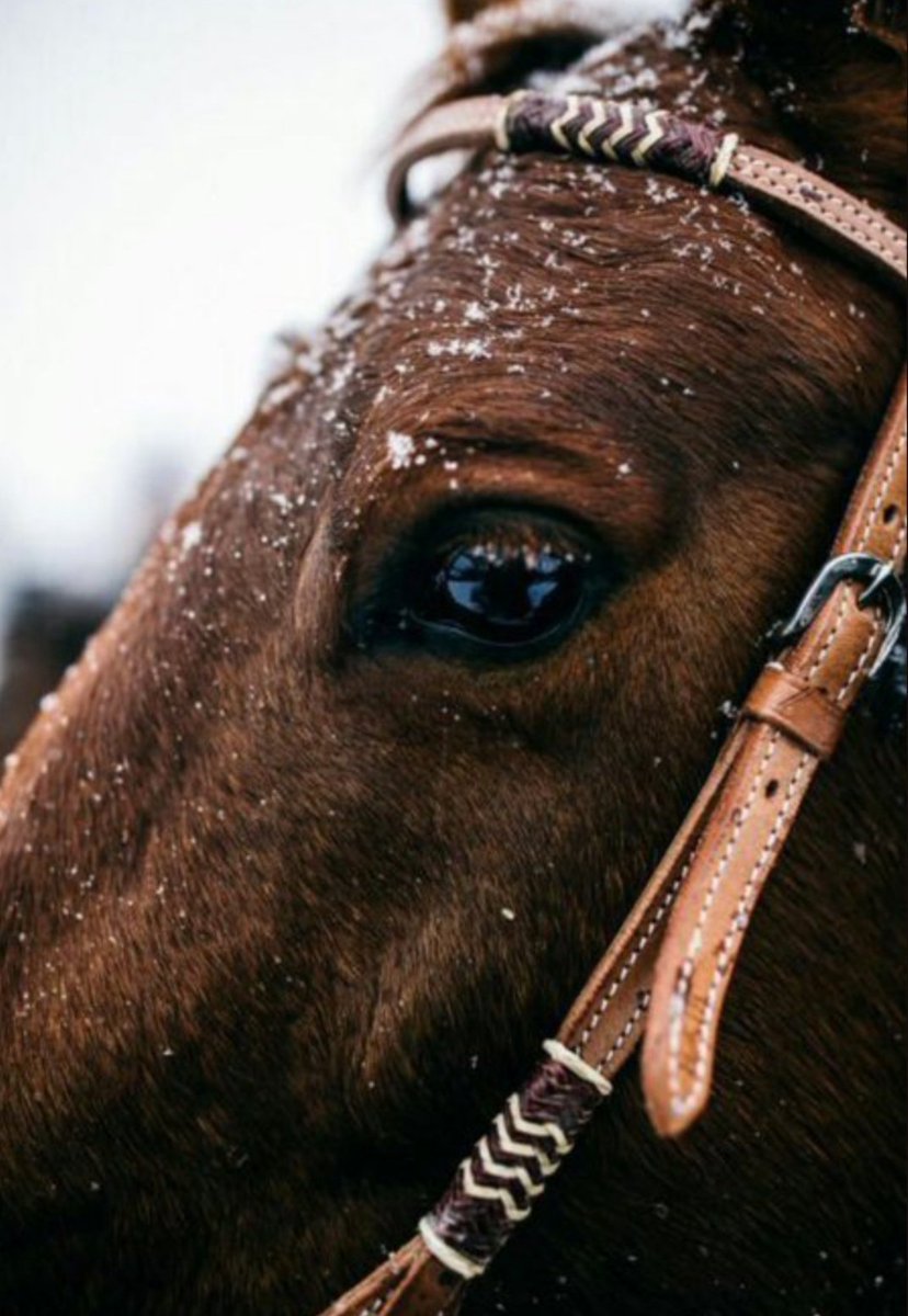 Zarifoğlu ne güzel özetlemiş: "Bu fâni âlem için beklentiye giren kalbime de kırgınım."☘️☘️