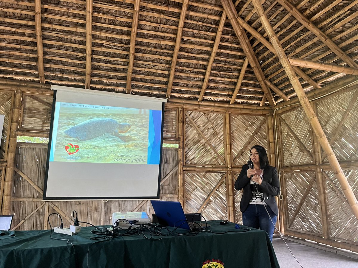 INVODES. Formación, Investigación y Transferencia tweet media