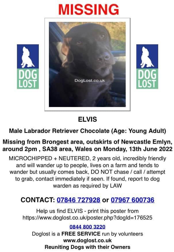 colliesontherun's tweet photo. ‼️Pls keep an eye out for ELVIS, 13/6/2022‼️
went missing from #Brongest outskirts of #NewcastleEmlyn, 2pm, Wales, #SA38
CHIPPED&NEUTERED 2YO incredibly friendly/will wander up to people, lives on #farm and tends to wander but usually comes back
https://t.co/CECkU0KQB3 https://t.co/7R8qMmH3oF
