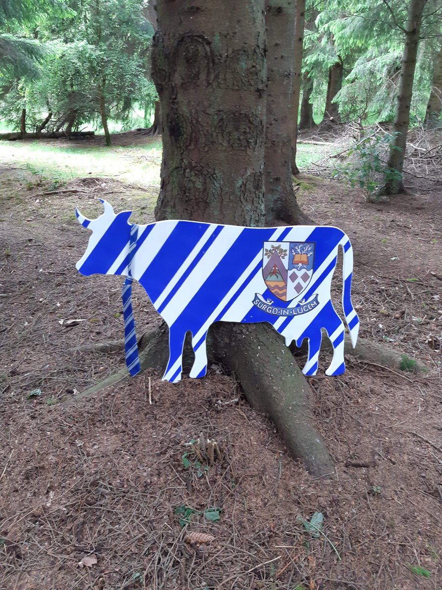 lovecowdenbeat1's tweet photo. 🐮mooooo…!!!!

Say Hello 👋 to Cowdenbeath’s new “Coo Trail” - it is fantastic!

Located in the Woodend Community Woodland, it contains fantastic wood-work made by #beath pupils! 

We simply love it! 🐮😍 - Why not pay a visit some time!? 

#cowdenbeath #local #coos #cootrail https://t.co/ZiNZ9RnveM