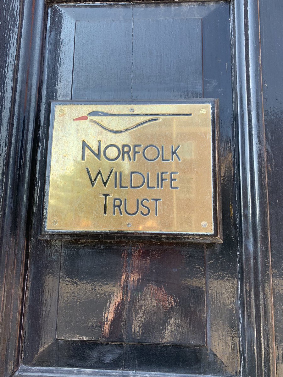 Day 14 #30dayswild Great first day at the @NorfolkWT office and so grateful to have the opportunity to play a part in encouraging more people to enjoy the wild!