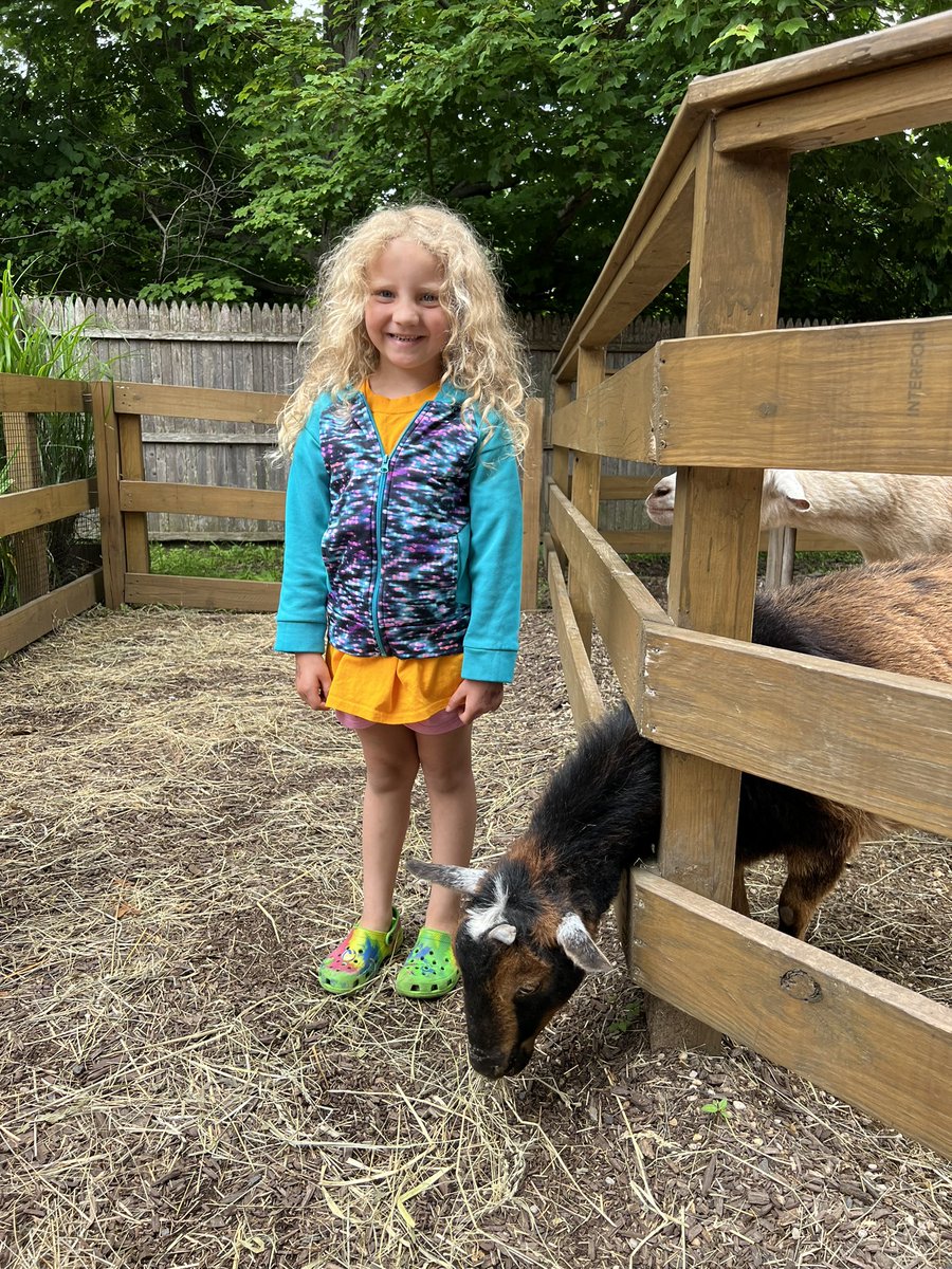 MsPulvidente's tweet photo. We had an amazing time on our field trip! #teamwillow @WillowRoadVS13 🦖🦕 https://t.co/L4FO7eCJpH