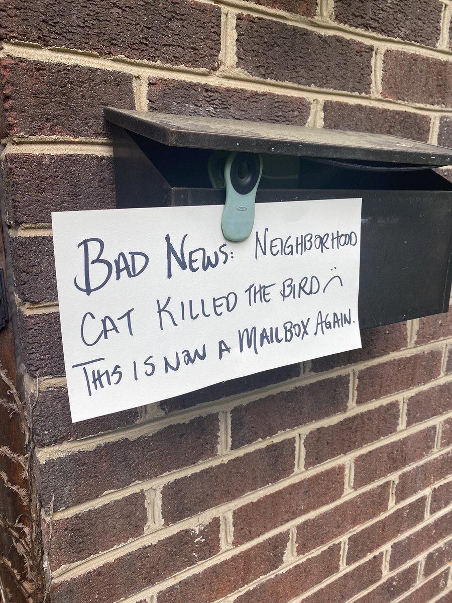 ITweetInHaiku's tweet photo. A tragedy in three parts 🎭 The neighborhood cat claims another life. https://t.co/2el5jAi4ov