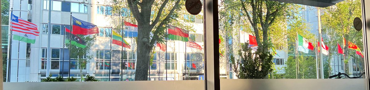 jloxen's tweet image. Vor dem Fenster des Konferenzhotels:
Jede Menge #SpaßmitFlaggen