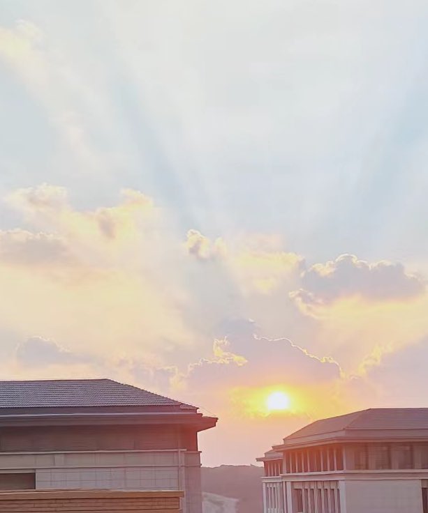 Lea60419's tweet photo. ☀️☀️☀️ https://t.co/NyIGh37HGN