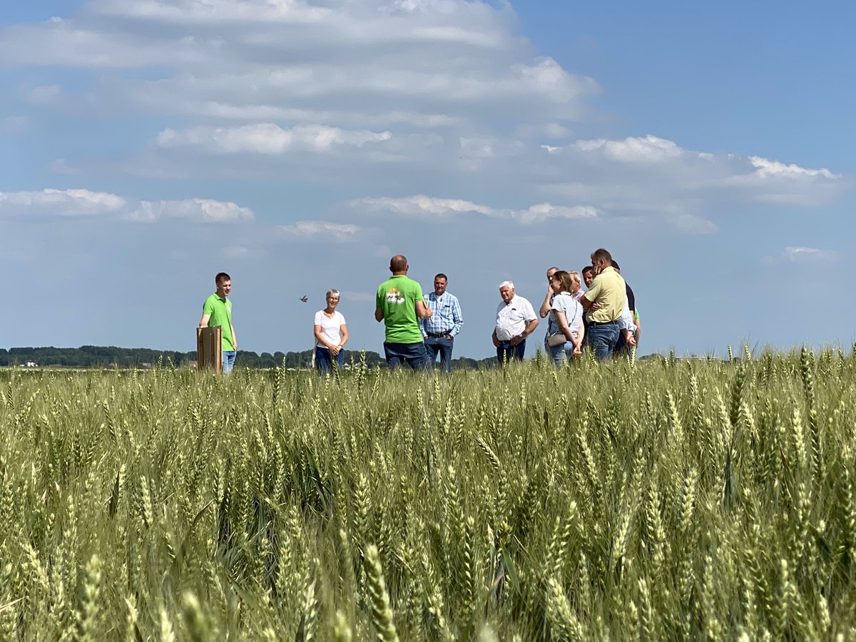 VanIperenBV's tweet photo. De eerste ‘Proef de dag’ zit erop. Wat een mooie zonnige dag voor deze akkerbouwbijeenkomst. 

Kom jij ook naar Proef de dag? Kijk voor de locaties en om je aan te melden op https://t.co/mLsRAC4U8l https://t.co/GizQ3jmTfu