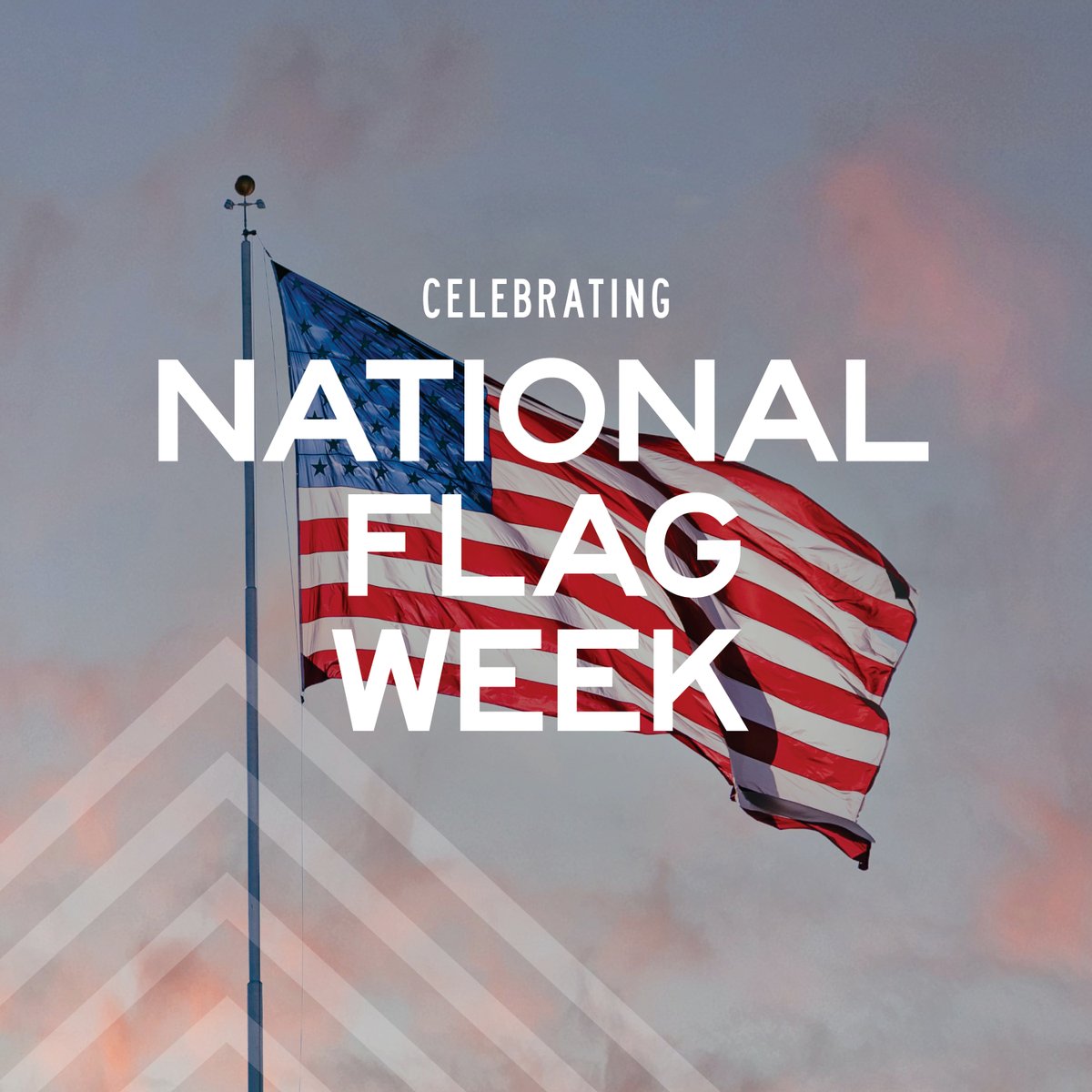 VeteransCllctiv's tweet photo. TVC proudly celebrates #NationalFlagWeek &amp; #FlagDay2022, honoring the history of Old Glory, our nation’s flag.  

On June 14, 1777, the Second Continental Congress passed a resolution establishing the flag that our country and its servicemembers have proudly waved for 245 years! https://t.co/zyHfU7UQRd