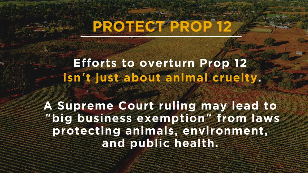 False claims by pork industry before #SCOTUS could set devastating precedent for states’ ability to uphold laws that protect animals, the environment &amp; public health. Please, <a href="/POTUS/">President Donald J. Trump</a>, help #ProtectProp12!