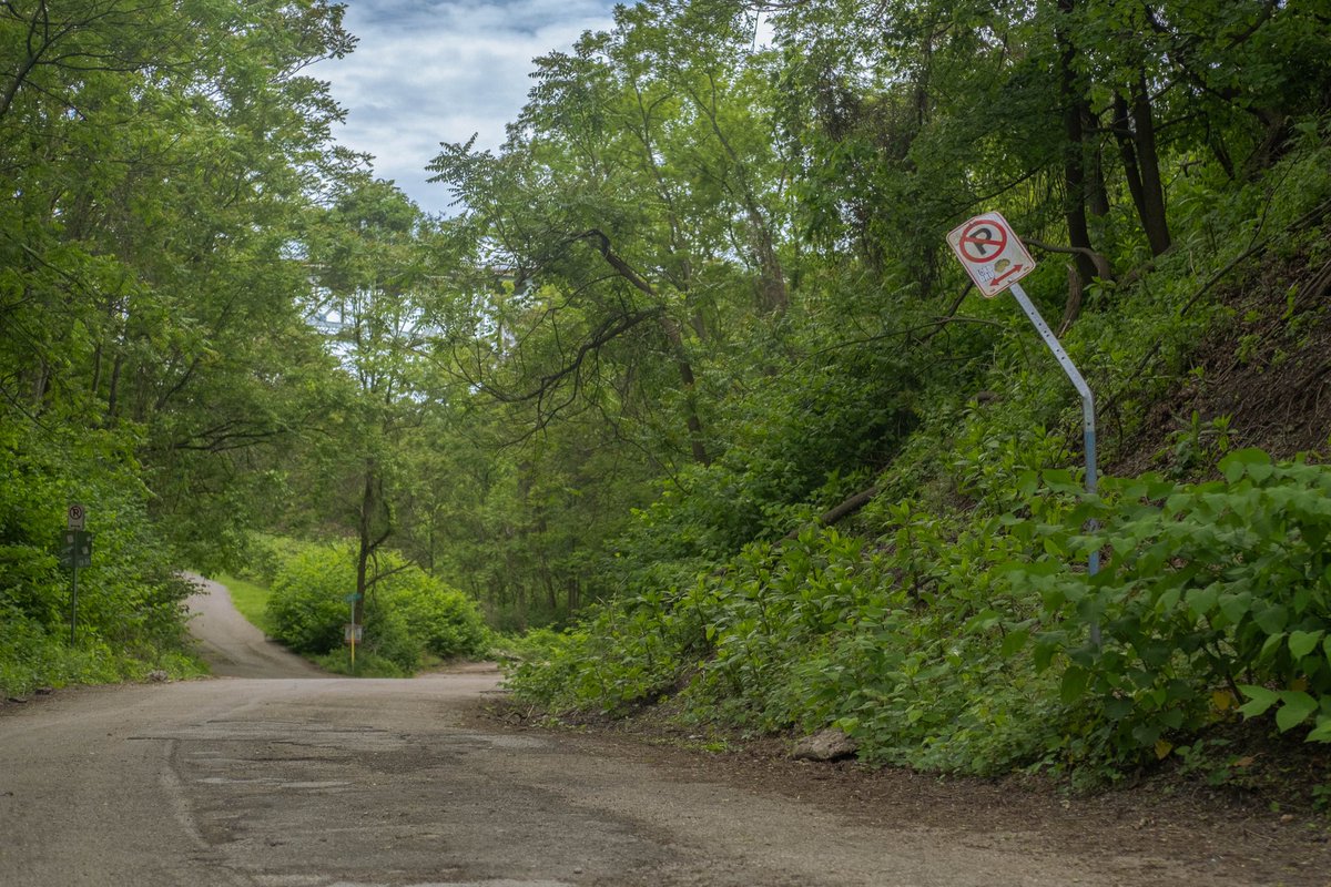 katelynanee's tweet photo. photos I took while trying to get lost https://t.co/LECnwDyGvu