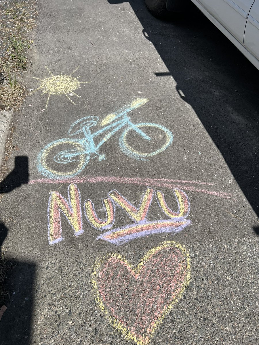 HadlariMark's tweet photo. My driveway art. 😊 https://t.co/dTi6O6ge0I