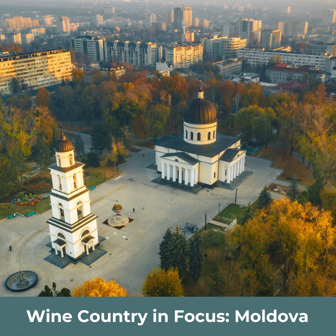 vidawinesuk's tweet photo. It’s really time we spoke about #MoldovanWines 🇲🇩 

We’re lucky to have so many varieties here at VIDA, such as the phenomenal Feteasca Regală (a must-try!) 

You can get 10% off incredible Moldovan wines on our website 👉https://t.co/Xr8POuC2nW 

#Moldova #Wine https://t.co/ruRwRZyBws