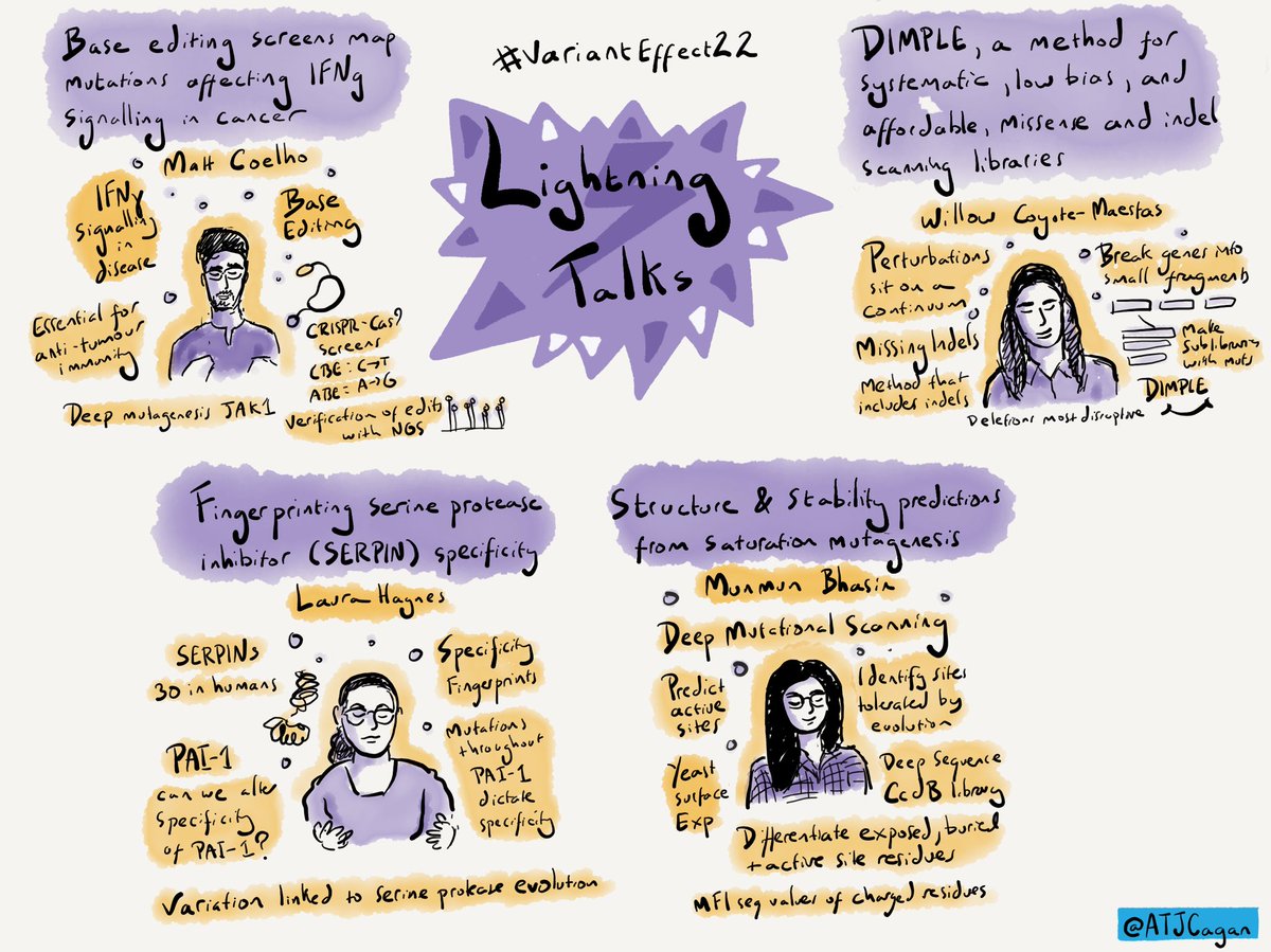 ATJCagan's tweet photo. Lightening talks round 2 at #VariantEffect22 https://t.co/xLmxVBafkM