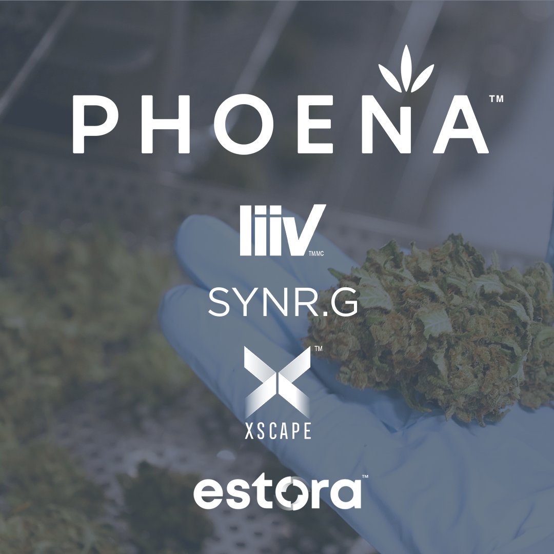 Delivering quality products in the medical space
since 2013, we’ve honed our offerings with a focus
on quality, ease-of-use, variety &amp; consistency
through custom-tailored products. We’re here to
meet the unique &amp; diverse needs of both medical
and recreational customers.
#cannabis