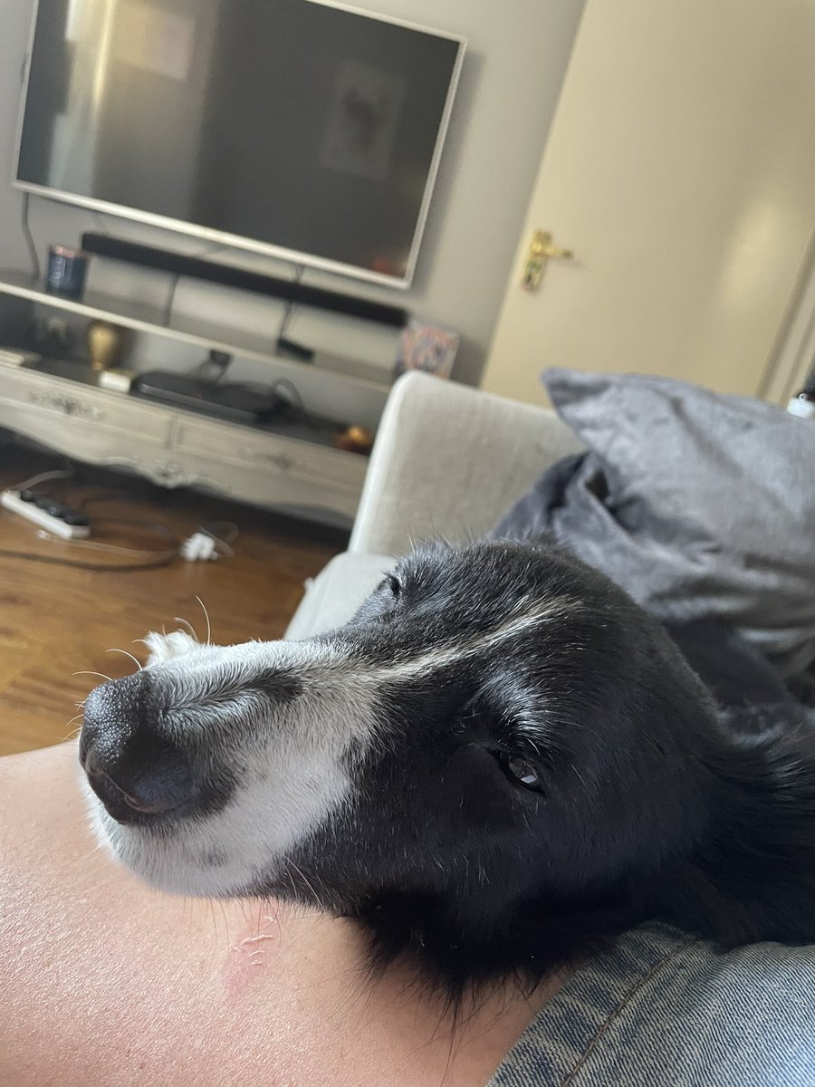 She only went and left me for FOUR days. Forgot to be annoyed and happy she’s home now!