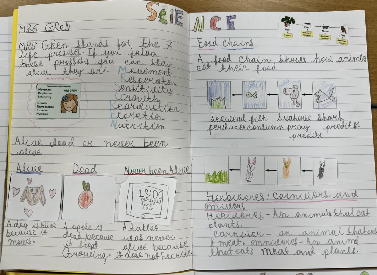 MrsDSperrin's tweet photo. I am so impressed with 2B’s 2 page spreads on food chains and life processes.. they worked really hard and produced some wonderful work! A huge thank you to Year 3 for sharing their 2 page spread template with us, we really appreciate it! @Birchfield_Sch #teamwork #science https://t.co/pQSFDIQXMI