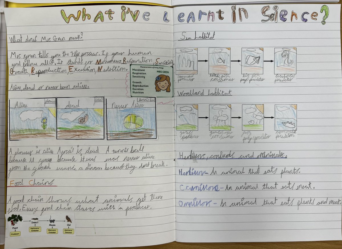 MrsDSperrin's tweet photo. I am so impressed with 2B’s 2 page spreads on food chains and life processes.. they worked really hard and produced some wonderful work! A huge thank you to Year 3 for sharing their 2 page spread template with us, we really appreciate it! @Birchfield_Sch #teamwork #science https://t.co/pQSFDIQXMI