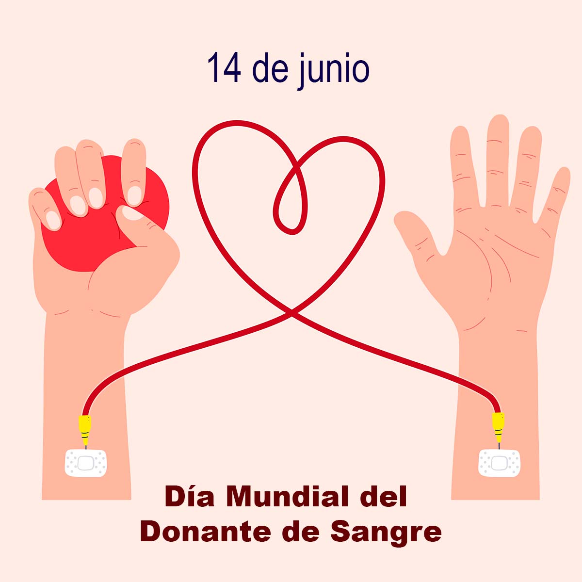 museoelrehilete's tweet photo. La donación de sangre es una acción solidaria que ayuda a salvar vidas y mantener saludables a muchas personas.
Hoy celebramos el Día Mundial del Donante de Sangre como una oportunidad para acrecentar la concienciación mundial sobre la necesidad de disponer de sangre. https://t.co/Myl8ojRAcX