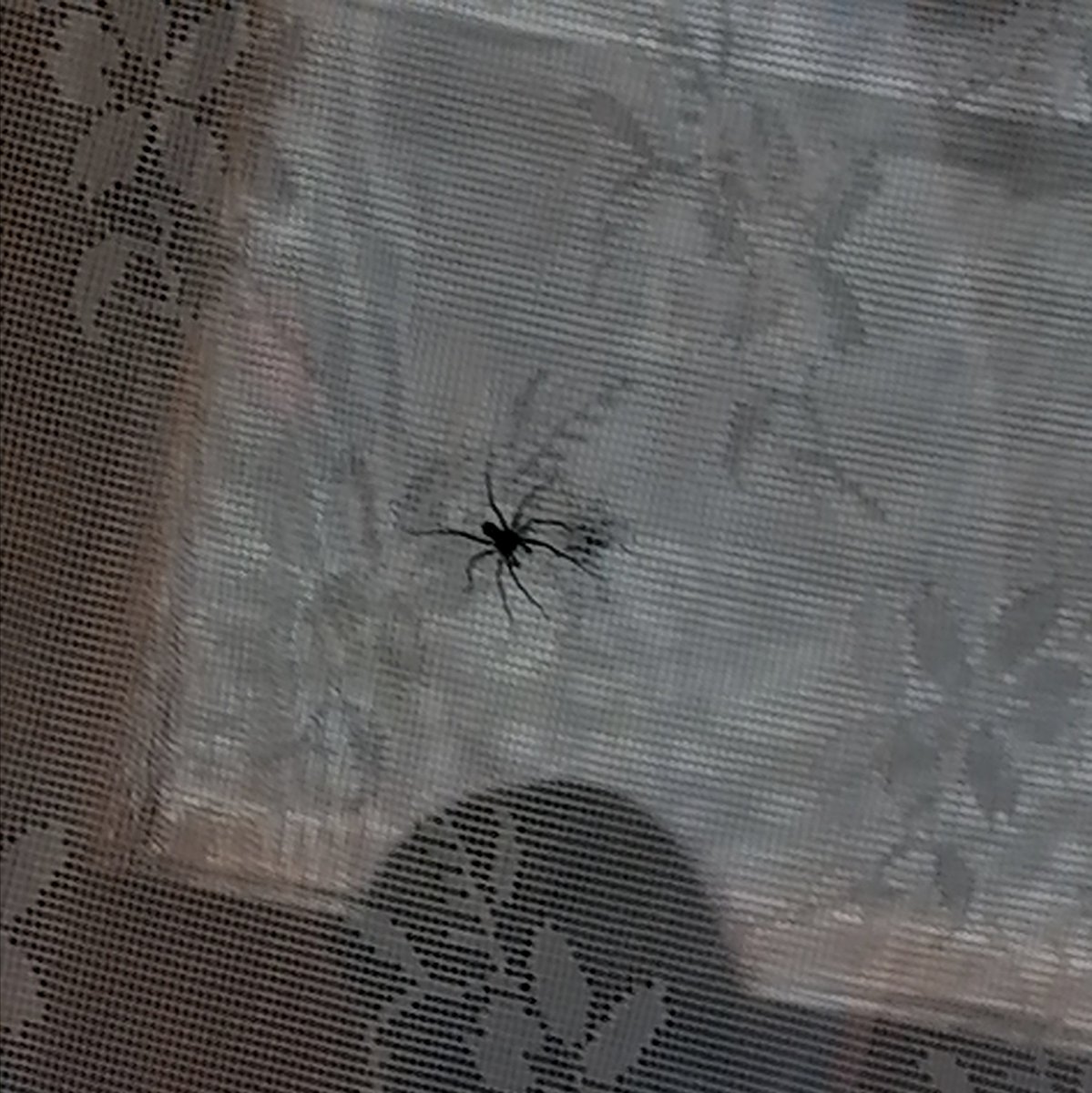 Оказывается.. Это больше не мой дом...