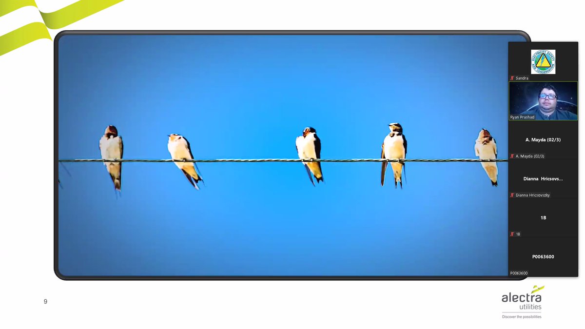 Electricity Safety & Conservation tweet media