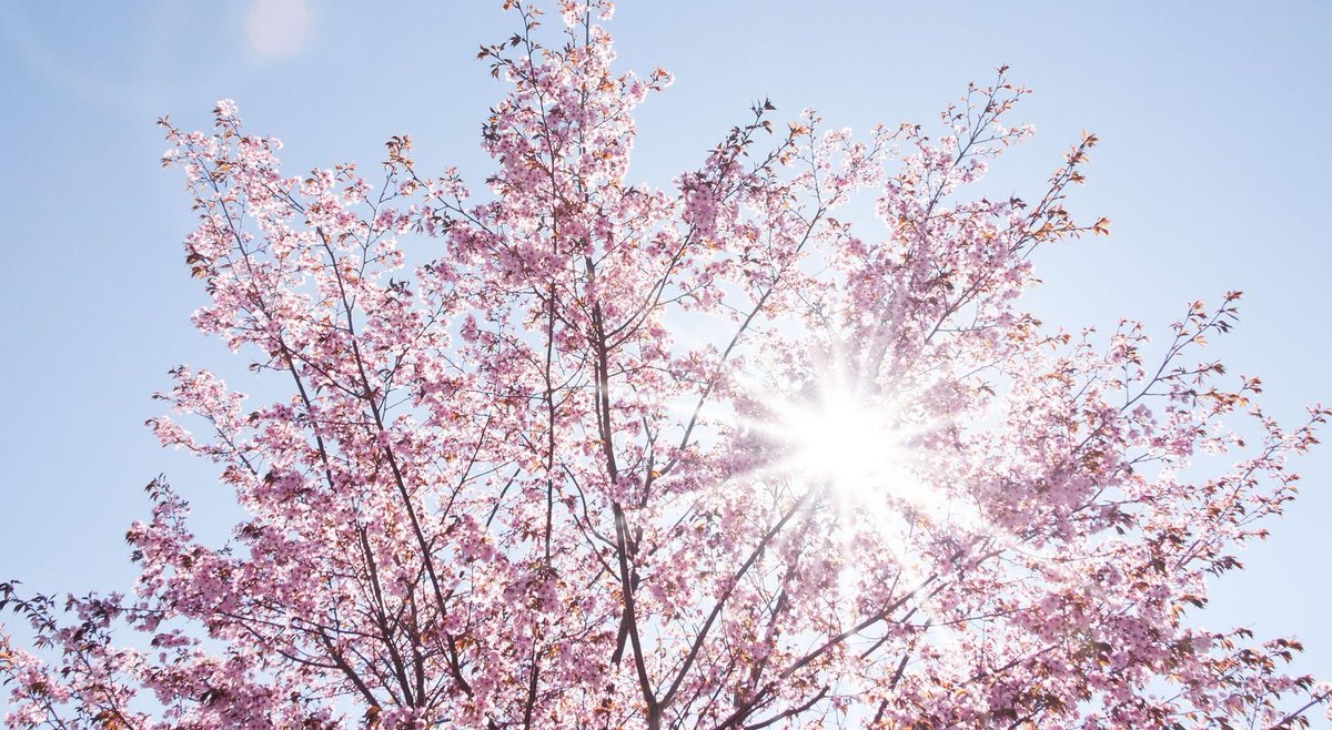 Totalt ble det nettosolgt verdipapirfond for 16 milliarder kroner i mai. Dette er det høyeste nettosalget siden mars 2020. Ikke siden mars 2020 har vi sett høyere nettosalg av verdipapirfond. #fond #verdipapirfond #marked